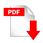 PDF_File